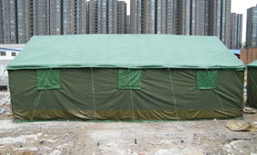 守护生命的方舟 蓝色帐篷在郑州救灾中的温暖使命