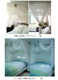 日本代购热潮 从普罗旺斯篷白到佳能相机，多元化购物新选择